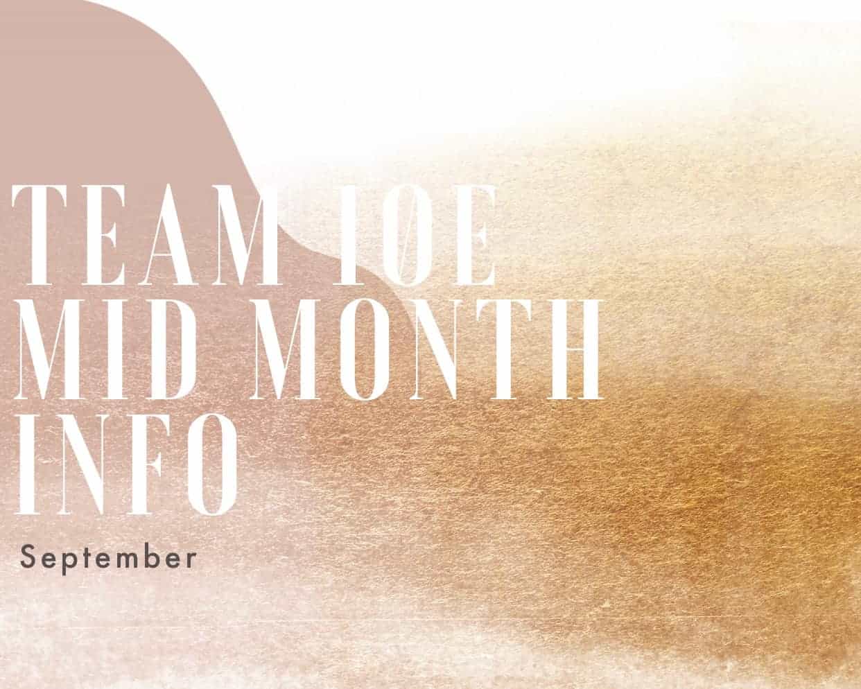 Team10e Mid Month Update